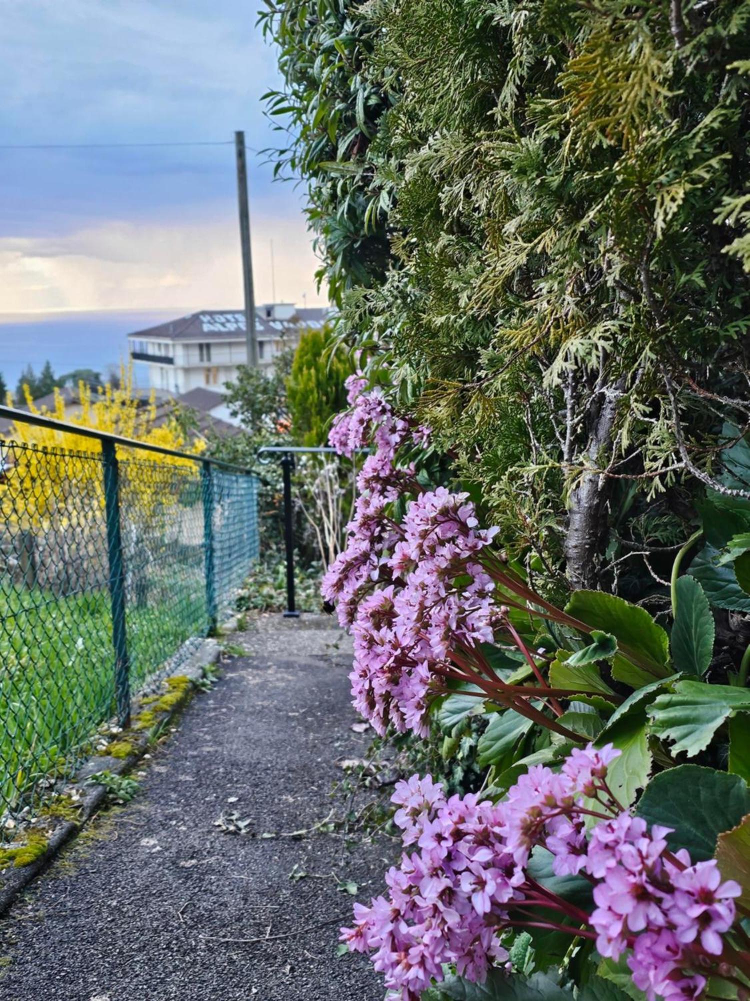 La Pergola Apartmán Montreux